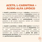 Acetil L Carnitina 500mg + Ácido Alfa Lipoico 200mg 60 Doses