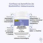 Bio-MAMPs® Akkermansia 50mg 30 Cápsulas