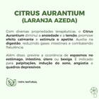Citrus Aurantium (Laranja Azeda) 500mg 60 Cápsulas