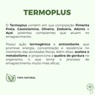 COMBO | Chá Solúvel Detox Vermelho + Termoplus + Morosil Seca Barriga