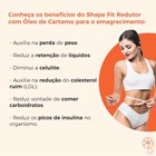 COMBO | Chá Solúvel Hibisco Natural c/ Sucralose e Gengibre + Shape Fit Redutor