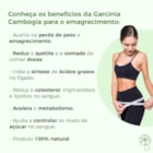 COMBO| Garcínia Cambogia 500mg 60 Doses (3 Unidades)