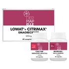 COMBO | Lowat com Citrimax Emagrecedor + Cactin Drenagem Linfática + Morosil Seca Barriga