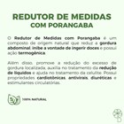 COMBO | Redutor de Medidas Porangaba + Chá Solúvel Detox Verde + Saffrin com Serenzo