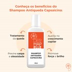 COMBO | Trichotech Solução de Minoxidil 5% (2un) + Shampoo Anti-Queda Capsaicina (2un)