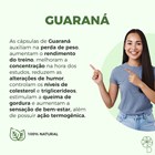 Guaraná 400mg 60 Cápsulas