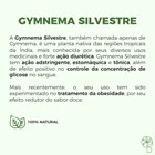Gymnema Silvestre 250mg 60 Cápsulas