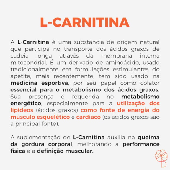 L-Carnitina 500mg 120 cpsulas L-Carnitina 500mg 120 cpsulas