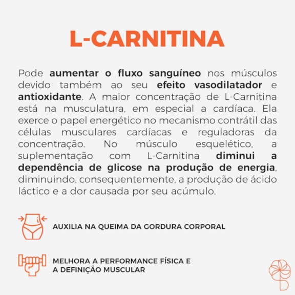 L-Carnitina 500mg 120 cpsulas L-Carnitina 500mg 120 cpsulas