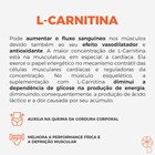 L-Carnitina 500mg 60 cápsulas