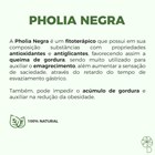 Pholia Negra 100mg 30 Cápsulas
